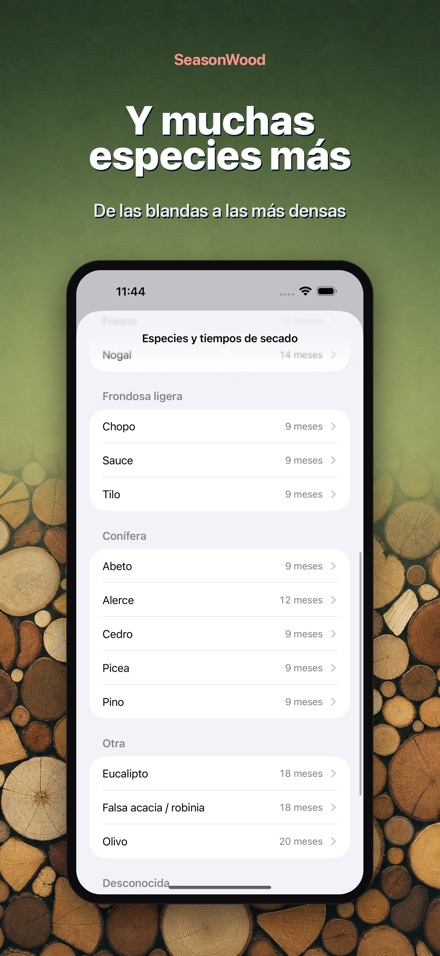 SeasonWood: secado de leña 8