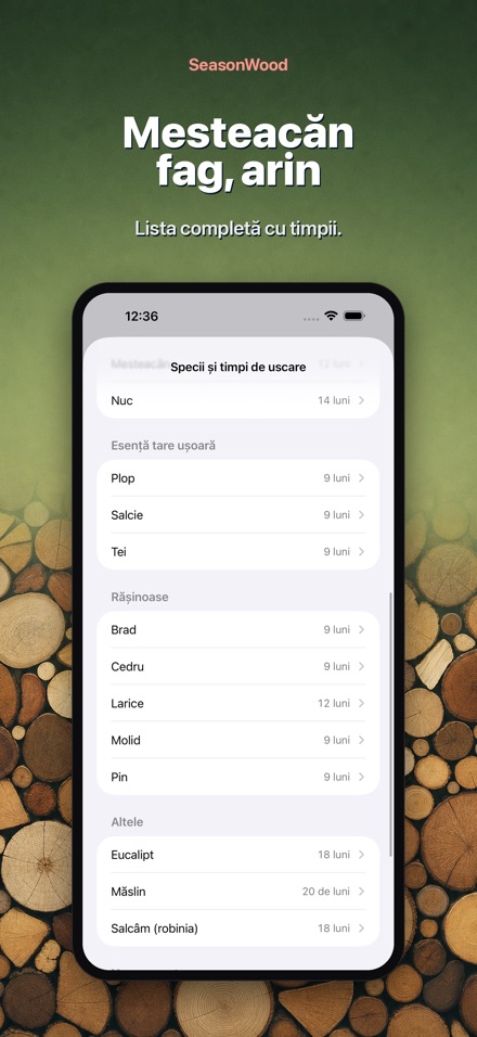 SeasonWood: uscare lemne 8