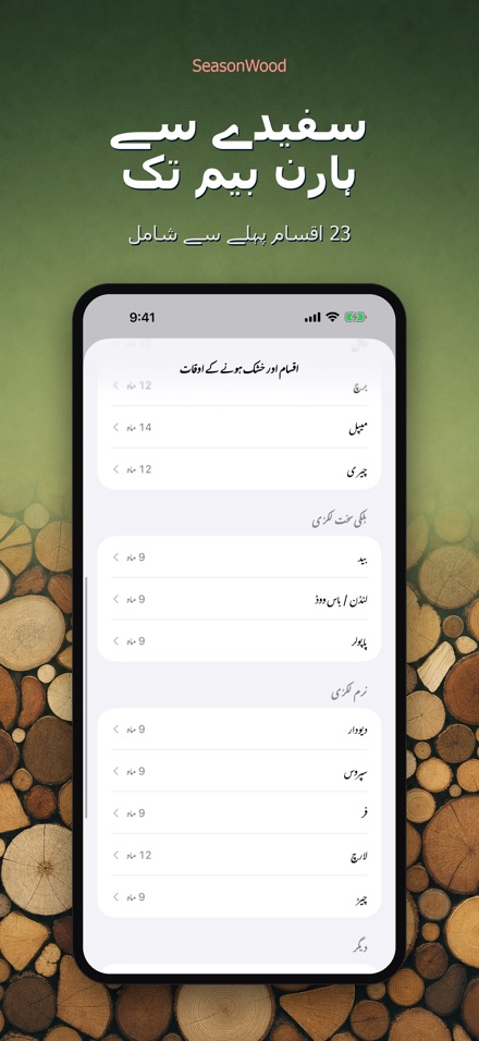 SeasonWood: لکڑی خشک کار 8